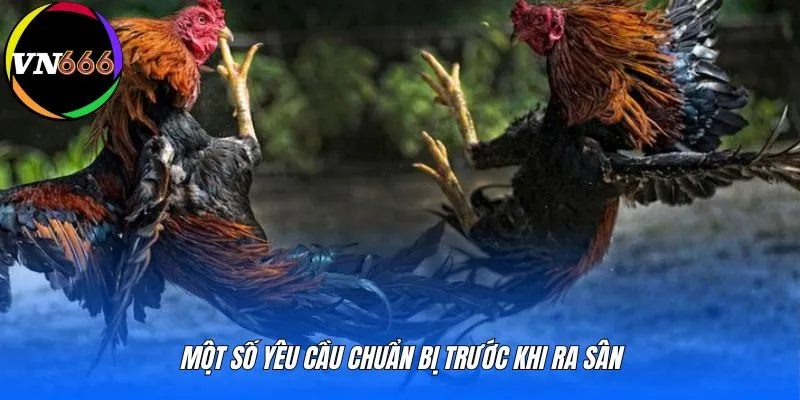 Một số yêu cầu chuẩn bị trước khi ra sân